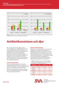 Antibiotikaresistens och djur