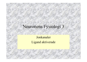 Neuronens Fysiologi 3