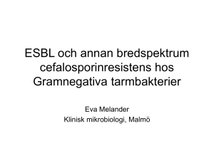 ESBL och annan bredspektrum cefalosporinresistens hos