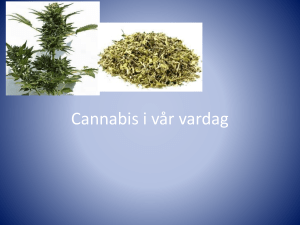 Cannabis_i_var_vardag