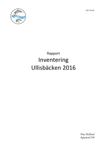 Inventering Ullisbäcken 2016