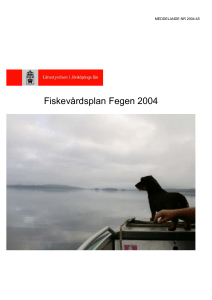 Fiskevårdsplan Fegen 2004
