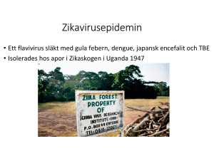 Zikavirusepidemin