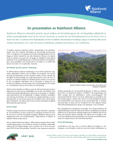 En presentation av Rainforest Alliance