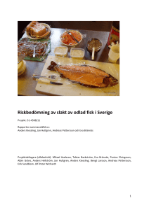 Riskbedömning av slakt av odlad fisk i Sverige