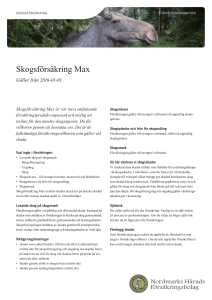 Skogsförsäkring Max - Nordmarks Härads Försäkringsbolag