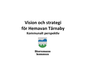 Vision och strategi för Hemavan Tärnaby
