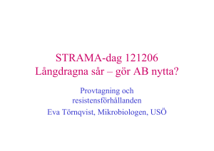 STRAMA-dag 121206 - Region Örebro län