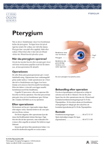 Pterygium - S:t Eriks Ögonsjukhus