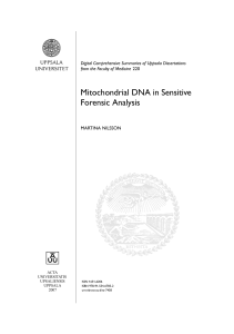Mitochondrial DNA in Sensitive Forensic Analysis