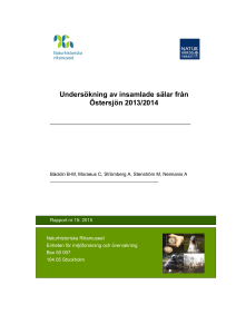Undersökning av insamlade sälar från Östersjön 2013/2014
