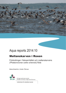 Aqua reports 2014:10