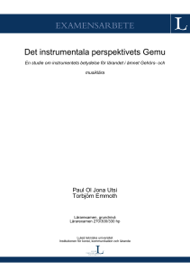 Det instrumentala perspektivets Gemu: En studie om instrumentets