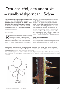 Häfte 97(2).indb - Svenska Botaniska Föreningen