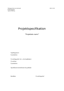 Projektspecifikationsmall