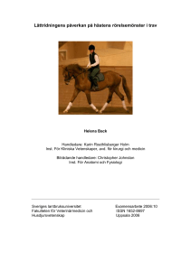 Lättridningens påverkan på hästens rörelsemönster i trav