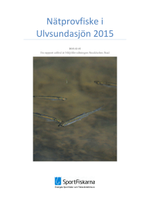 Nätprovfiske i Ulvsundasjön 2015
