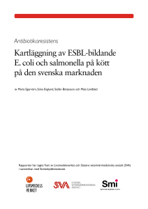 Kartläggning av ESBL-bildande E. coli och
