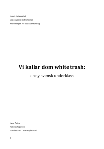 Vi kallar dom white trash - Lund University Publications