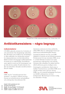 Antibiotikaresistens – några begrepp