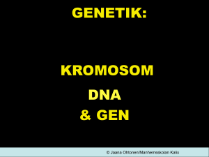 Kromosom Gen