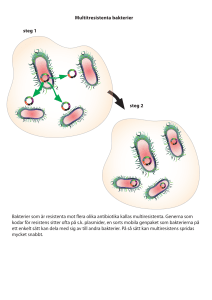 Multitresistenta bakterier steg 1 steg 2 Bakterier som är resistenta