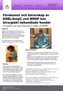 Multiresistenta bakterier hos kirurgiskt behandlade hundar i Sverige