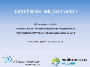 Presentation MVG nyheter o projekt 2015-16 pptx
