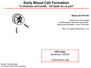 Early Blood Cell Formation
