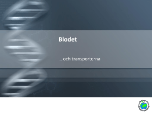 Blodet - SlideBoom