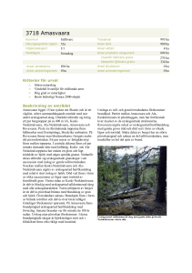 Skyddsvärda statliga skogar i Norrbotten 7