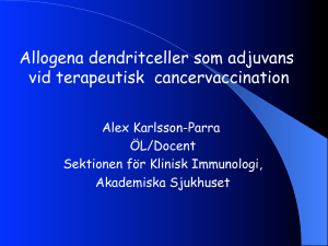 Allogena dendritceller som adjuvans vid terapeutisk cancervaccination