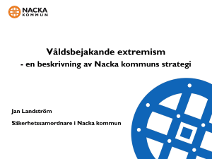 Strategi mot våldsbejakande extremism och