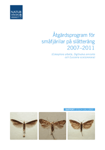 Åtgärdsprogram för småfjärilar på slåtteräng2007