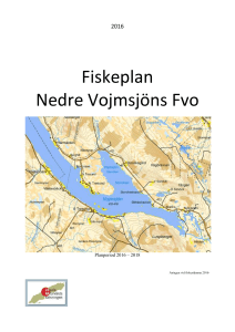 Fiskeplan Nedre Vojmsjöns Fvo - Jakt och Fiske i Södra Lappland