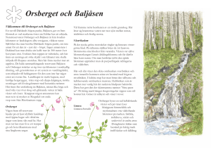 Orsberget och Baljåsen