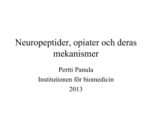 Neuropeptider, opiater och deras mekanismer