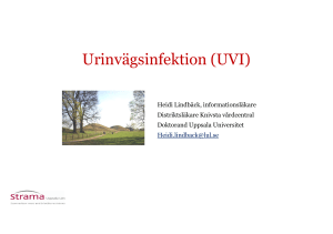Urinvägsinfektion (UVI)