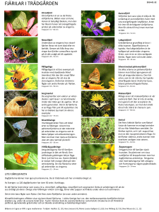 Faktablad om trädgårdens fjärilar