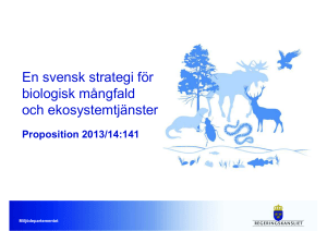 En svensk strategi för biologisk mångfald och ekosystemtjänster