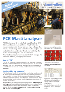 PCR Mastitanalyser