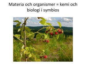 Materia och organismer = kemi och biologi i symbios