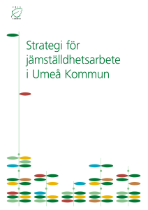 Strategi för jämställdhetsarbete i Umeå Kommun