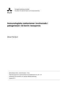 Immunologiska mekanismer involverade i patogenesen vid