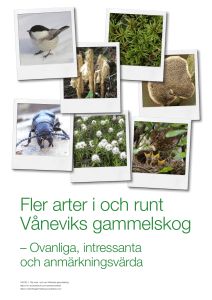 Fler arter i Våneviks gammelskog