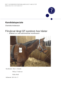 Förvärvat långt QT-syndrom hos hästar