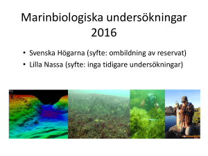 Marinbiologiska undersökningar 2016