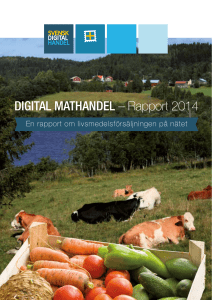DIGITAL MATHANDEL – Rapport 2014