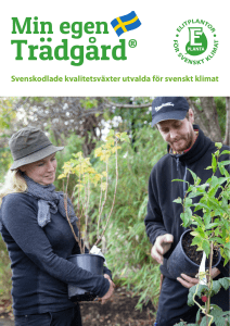 Svenskodlade kvalitetsväxter utvalda för svenskt klimat