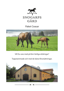 Paket Ceasar - Snogarps Gård